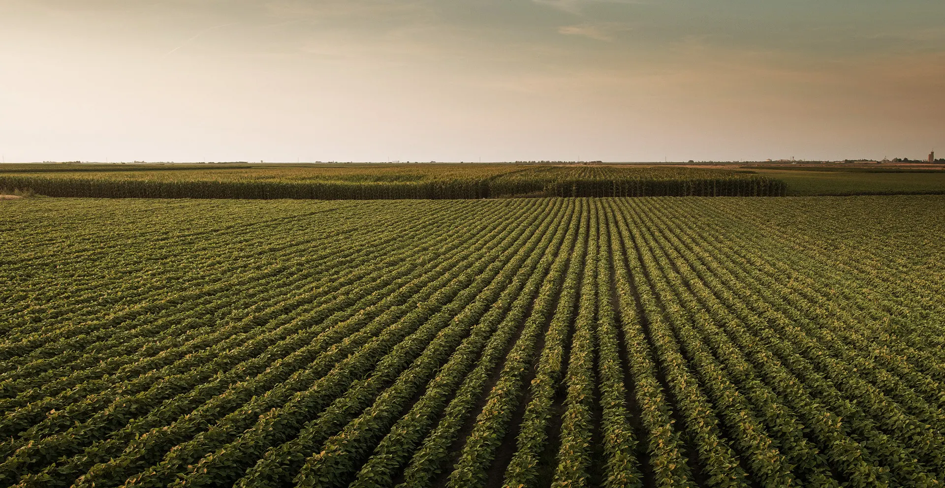 Exploitations-et-terres-agricoles-1